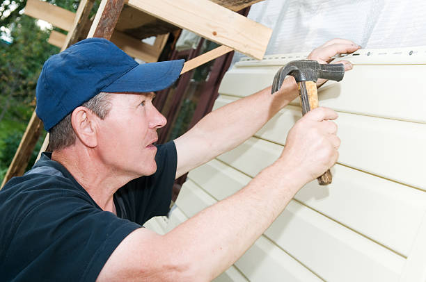 Best Basement Cleanout  in Clinton, KY