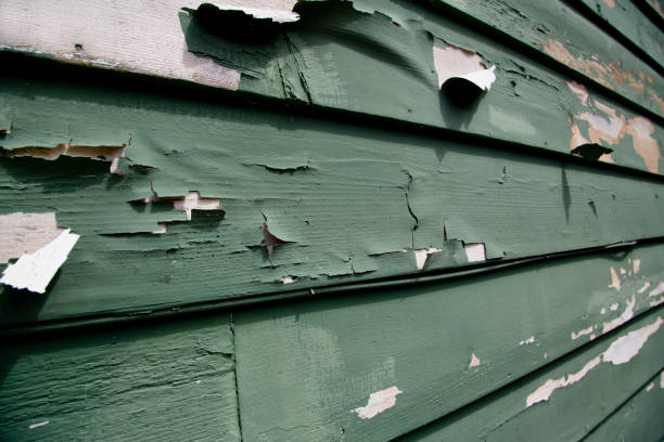 Best Shed Removal  in Clinton, KY