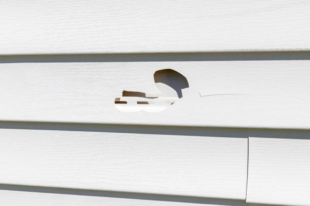 Best Property Management Cleanouts  in Clinton, KY