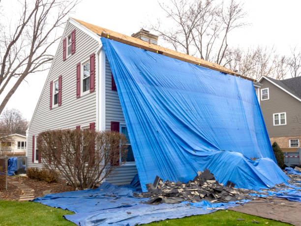 Best Hoarding Cleanup  in Clinton, KY
