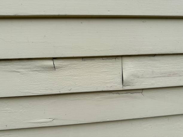 Trusted Clinton, KY Junk Removal Experts